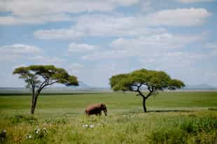What makes the Green Season so special