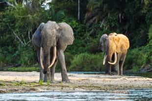 Africa’s Top Unexplored Destinations