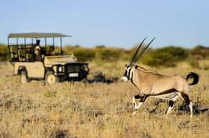 Central Kalahari