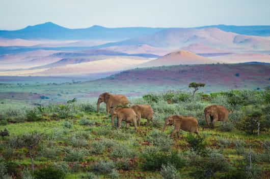 Damaraland