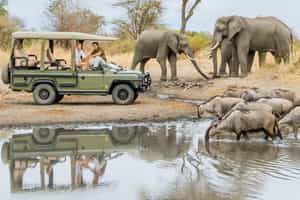 Track Lake Manyara's wildlife on a game drive