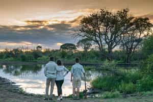 Madikwe Game Reserve