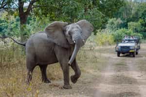 Majete Wildlife Reserve