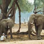 Loved Zimbabwe and Namibia