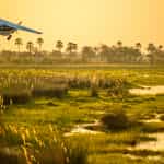 Awesome safari and South African trip.