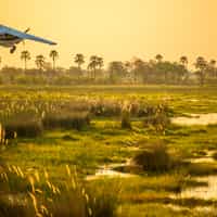 Awesome safari and South African trip.