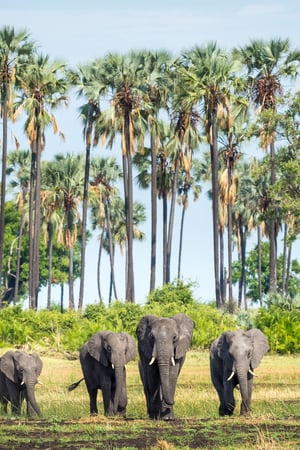 The Ultimate Southern Africa trip