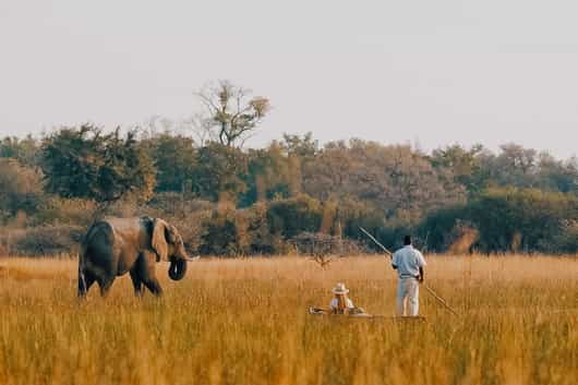 Central Okavango