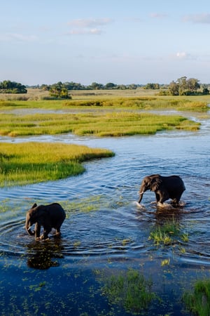 South Africa, Botswana & the beach