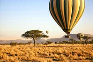 Go on a hot air balloon safari in the Serengeti