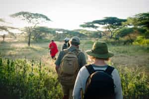 Serengeti