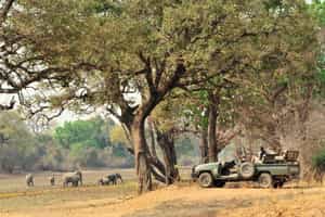 South Luangwa National Park
