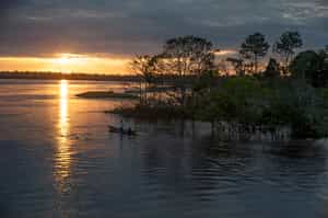 Pacaya Samiria Reserve