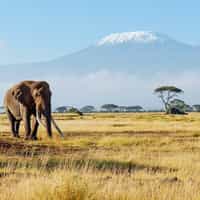 First African Adventure