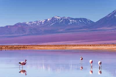 From mountains to steamy jungles, this is a continent that dances to a bold and beautiful beat.