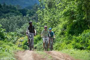 Safari by Mountain Bike in Arusha National Park