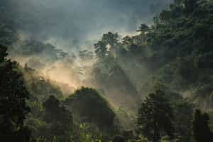 Borneo Kalimantan