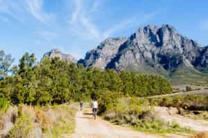 Cape Winelands