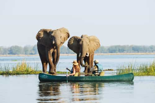 Mokoro & canoe safari