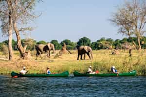 Mana Pools