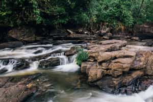 Cardamom Mountains