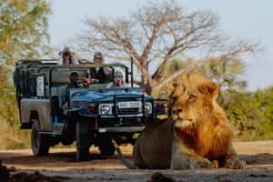 Lower Zambezi National Park