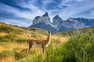Chile Country Guide