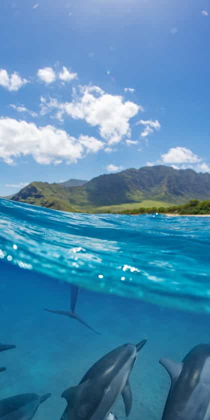 Reunion Island
