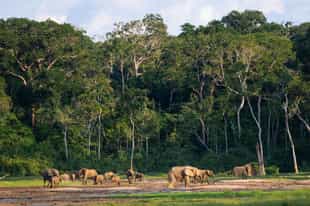 The ultimate off the beaten track safaris