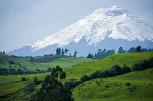 Ecuador Country Guide