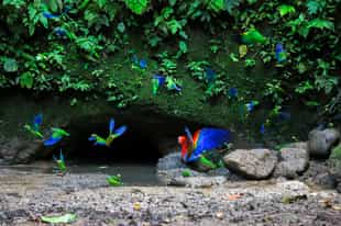 Best time to visit Ecuador