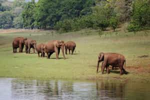 Kerala