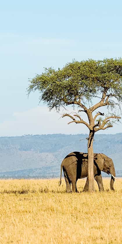 Tanzania