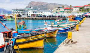 Explore Kalk Bay on a walking tour
