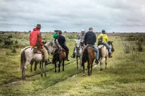 Los Llanos, The Eastern Plains