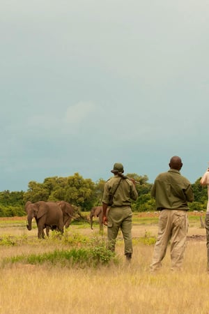 Zambia