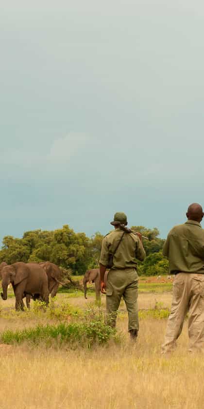 Zambia