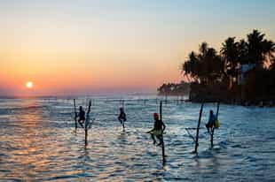 Sri Lanka Country Guide