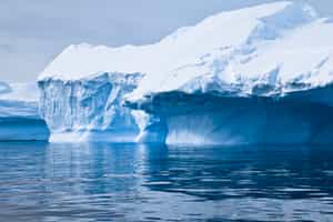 Admire the stark beauty of Antarctic glaciers