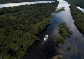 Brazilian Amazon