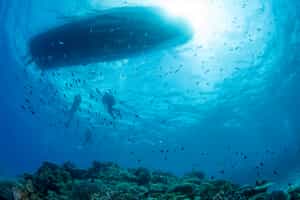 The Okinawa Islands