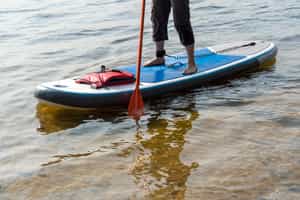 Go stand up paddleboarding in Zandvlei Estuary