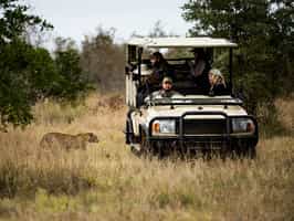 Central Kruger