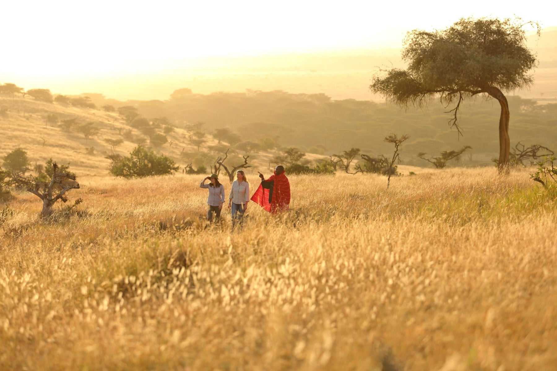 Choosing the right safari planner can shape your entire trip - here’s how to choose one with confidence.