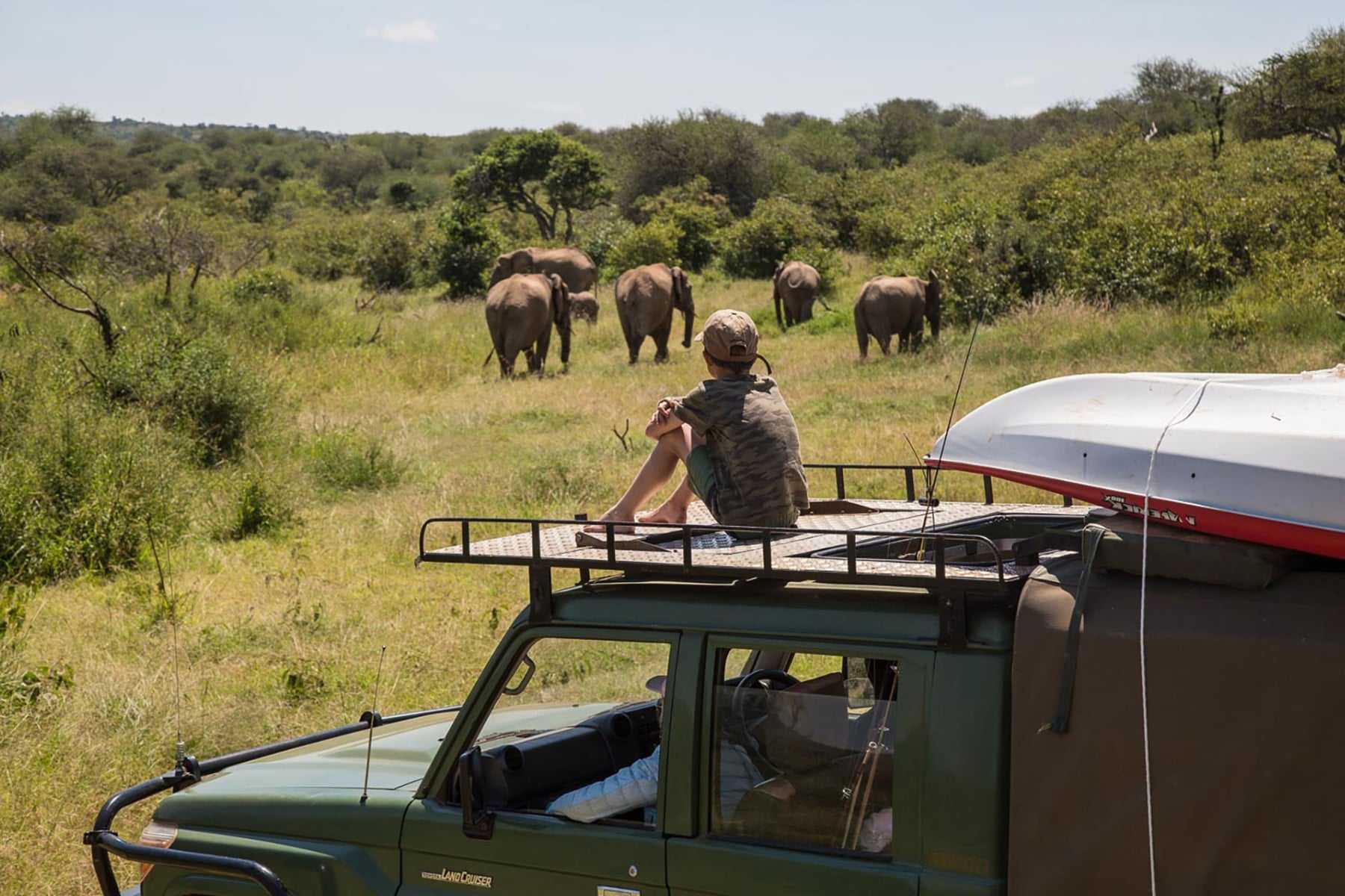 safari for families
