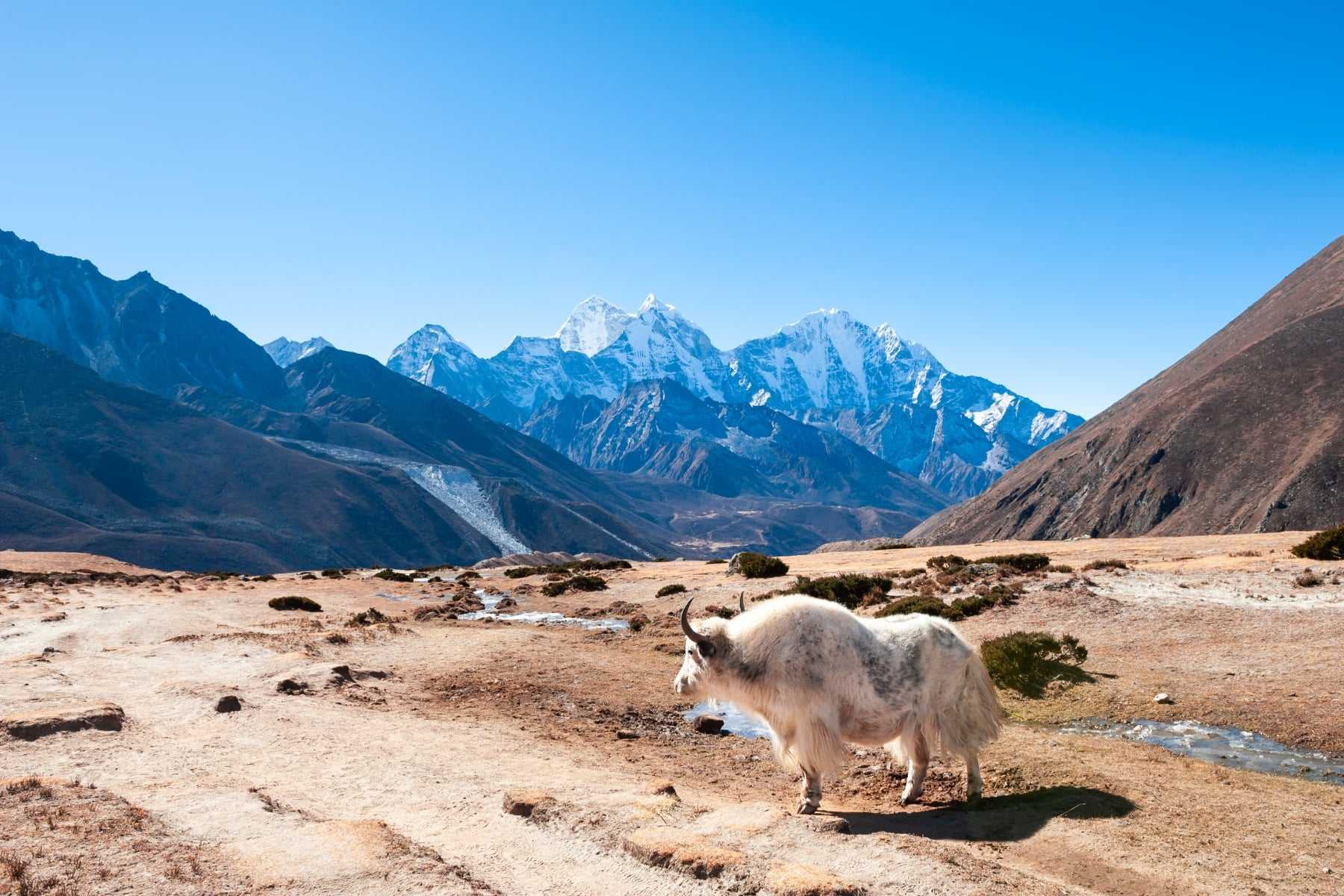 Top 10 Things to do in Nepal
