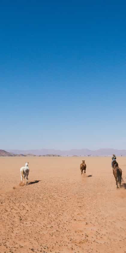 Horse riders in the desert