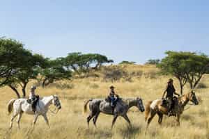 Tswalu Kalahari