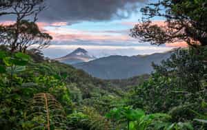 Costa Rica