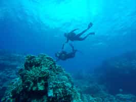 Go scuba diving off Easter Island